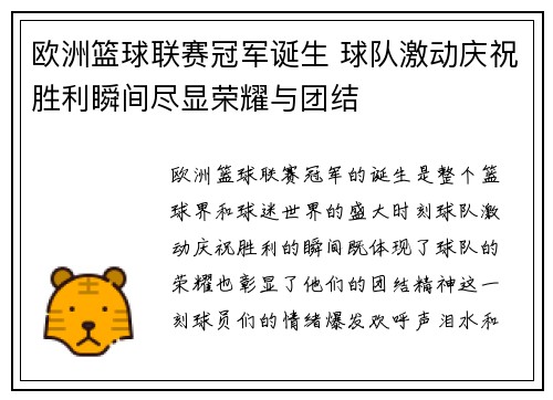 欧洲篮球联赛冠军诞生 球队激动庆祝胜利瞬间尽显荣耀与团结